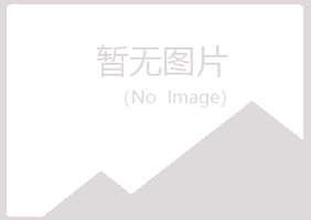 平鲁区夏彤金融有限公司